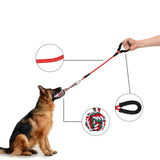 Maxbell Interactive Dog Toys Small Dogs Cats Pet Cat Toys Knot Ball Toy Dog Rope Toy
