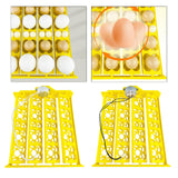 Maxbell Egg Incubator Tray Egg Turner Turning Tray Accessory for Chicken Quail Goose AC12V