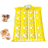 Maxbell Egg Incubator Tray Egg Turner Turning Tray Accessory for Chicken Quail Goose AC12V