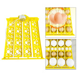 Maxbell Egg Incubator Tray Egg Turner Turning Tray Accessory for Chicken Quail Goose AC12V