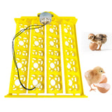 Maxbell Egg Incubator Tray Egg Turner Turning Tray Accessory for Chicken Quail Goose DC12V
