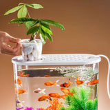 Maxbell Mini Fish Tank Clear Tank Portable Tabletop Fish Bowl Small Desktop Aquarium Hydroponics