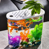 Maxbell Mini Fish Tank Clear Tank Portable Tabletop Fish Bowl Small Desktop Aquarium Hydroponics