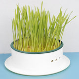 Maxbell Cat Grass Box Cats Snack Tray Cats Grass Planting Box Sprouter Tray Gray Base Green Net