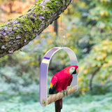 Maxbell Bird Perches Cage Toy Climbing Bridge Swing Toy for Parakeets Macaws Finches