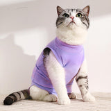 Maxbell Cat Recovery Suit Outfits Prevent Licking Pets Clothes for After Spay Kitten Purple L