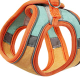 Maxbell Cat Harness and Leash Set Escape Proof Lightweight Soft Padded Kitty Harness S Orange and Green