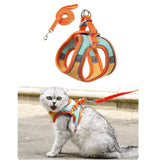 Maxbell Cat Harness and Leash Set Escape Proof Lightweight Soft Padded Kitty Harness S Orange and Green