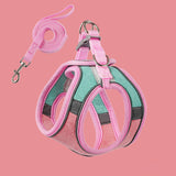 Maxbell Cat Harness and Leash Set Escape Proof Lightweight Soft Padded Kitty Harness L Pink and Green