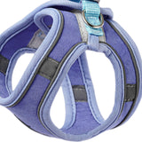 Maxbell Cat Harness and Leash Set Escape Proof Lightweight Soft Padded Kitty Harness S Blue