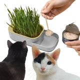 Maxbell Seed Sprouter Tray Hydroponic Cat Grass Box for Seedling Greenhouse Planting Gray