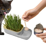 Maxbell Seed Sprouter Tray Hydroponic Cat Grass Box for Seedling Greenhouse Planting Gray