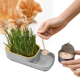 Maxbell Seed Sprouter Tray Hydroponic Cat Grass Box for Seedling Greenhouse Planting Gray