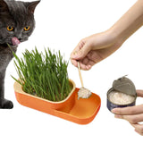 Maxbell Seed Sprouter Tray Hydroponic Cat Grass Box for Seedling Greenhouse Planting Orange
