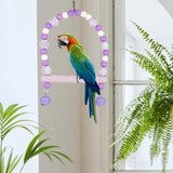 Maxbell Bird Toy Pet Hanging Ladder Bridge Climbing Swing for Conures Budgie Hamster Purple