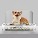 Maxbell Indoor Dogs Potty Train Pads Durable Dog Toilet for Small Dogs and Male Dogs Gray