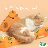 Maxbell Pet Sleeping Bed Cat Sofa Cat Scratching Board for Indoor Cats Kittens Sleep