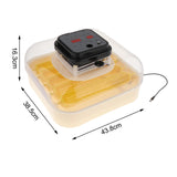 Maxbell Egg Incubator Multipurpose with Automatic Egg Turner for Quail Chicken Goose Double power