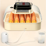 Maxbell Egg Incubator Multipurpose with Automatic Egg Turner for Quail Chicken Goose Double power