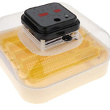 Maxbell Egg Incubator Multipurpose with Automatic Egg Turner for Quail Chicken Goose Single power