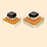 Maxbell Egg Incubator Multipurpose with Automatic Egg Turner for Quail Chicken Goose Single power