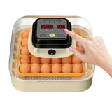 Maxbell Egg Incubator Multipurpose with Automatic Egg Turner for Quail Chicken Goose Single power
