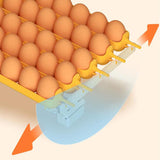 Maxbell Egg Incubator Multipurpose with Automatic Egg Turner for Quail Chicken Goose Single power
