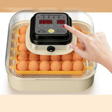 Maxbell Egg Incubator Multipurpose with Automatic Egg Turner for Quail Chicken Goose Single power