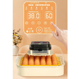 Maxbell Egg Incubator Multipurpose with Automatic Egg Turner for Quail Chicken Goose Single power