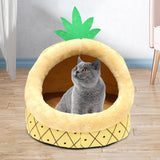Maxbell Semi Enclosed Cat Nest with Playing Ball Soft Comfortable Pet House for Cats