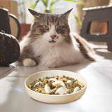 Maxbell Dog Slow Feeder Bowl Portable Pet Dog Bowl for Small Medium Dogs Puppy White