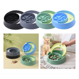 Maxbell Dog Slow Feeder Bowl Fashion Durable Dish Bowl for Puppy Pets Supplies black