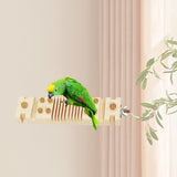 Maxbell Parrot Chewing Stopper Toy Exercise The Beak Parrot Cage Bite Toys for Birds Style A