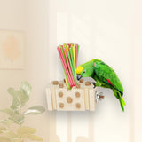 Maxbell Parrot Chewing Stopper Toy Exercise The Beak Parrot Cage Bite Toys for Birds Style B