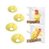 Maxbell Parrot Anti Bite Collar Parrot Neck Protective Collar for Budgies Budgerigar S