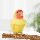 Maxbell Parrot Anti Bite Collar Parrot Neck Protective Collar for Budgies Budgerigar S