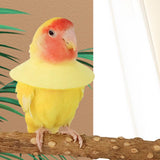 Maxbell Parrot Anti Bite Collar Parrot Neck Protective Collar for Budgies Budgerigar M