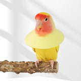 Maxbell Parrot Anti Bite Collar Parrot Neck Protective Collar for Budgies Budgerigar L