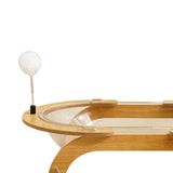 Maxbell Space Capsule Cat House Kitten Activity Center All Seasons Cat Spaceship Bed