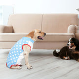 Maxbell Surgery Wear Breathable for Female and Male Dogs Pet Dog Recovery Shirt Suit