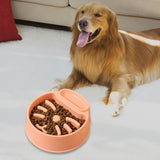 Maxbell Pet Dog Slow Feeder Bowl Fashion Dish Bowl for Kitten Kitty Pets Accessories orange
