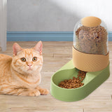 Maxbell Automatic Cat Food Dispenser Auto Cats Feeder for Puppy Small Medium Big Pet Green