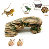 Maxbell Turtle Resting Basking Platform Climbing Shelf Reptile Habitat Climbing Ramp M