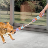 Maxbell Dog Sniff Toy Educational Toy Interactive Toy for Pet Playing Smell Training B