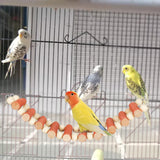 Maxbell Parrot Bridge Chewing Toy Wooden Ladder Bridge for Lovebirds Budgie Parakeet orange