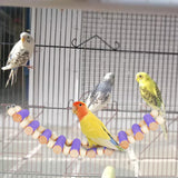 Maxbell Parrot Bridge Chewing Toy Wooden Ladder Bridge for Lovebirds Budgie Parakeet violet