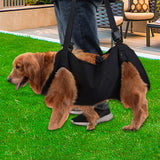 Maxbell Dog Carrier Pet Lifts Vest for Senior Dogs Joint Injuries up and Down Stairs S