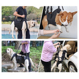 Maxbell Dog Carrier Pet Lifts Vest for Senior Dogs Joint Injuries up and Down Stairs M