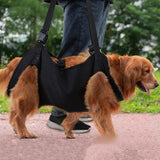 Maxbell Dog Carrier Pet Lifts Vest for Senior Dogs Joint Injuries up and Down Stairs M