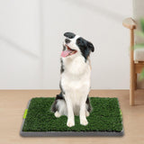 Maxbell Training Potty Pad Artificial Grass Dog Pee Pads for Small Medium Dogs